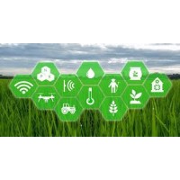 AgriElevate logo - Similar company to Data Decipherer