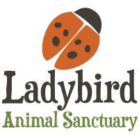 Ladybird Animal Sanctuary logo - Similar company to Caveat Llp