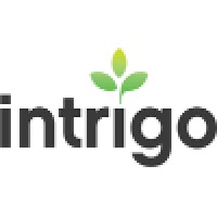 Intrigo