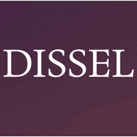 Dissel AI logo - Similar company to Dissel B.V.