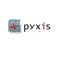 PYXIS AUDIT logo - Similar company to Revelaction