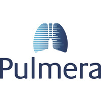 Pulmera logo - Similar company to Diatiro