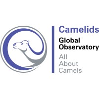 Camelids logo - Similar company to Synergyy Technologies