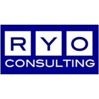 RYO CONSULTING SA DE CV logo - Similar company to Virnetx