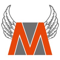 EV Critical Minerals Pty Ltd logo - Similar company to Lithium Power International Ltd (Asx: Lpi)