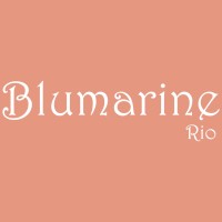 Blumarine Rio logo - Similar company to Sml Rio