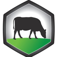 Easy Silage logo - Similar company to Silage Solutions Ltd