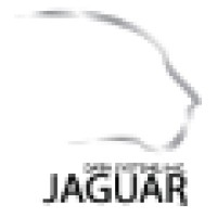 Jaguar Data Systems