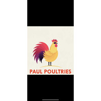 Paul poultries logo - Similar company to Saha Udyog