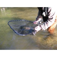 LiveWorld Taxidermy logo - Similar company to Laporte Ball Trap