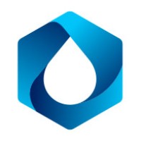 Longview Environmental Company