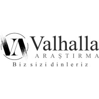 Valhalla Araştırma ve Danışmanlık logo - Similar company to Anket