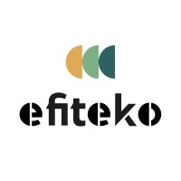 EFITEKO logo - Similar company to Pixelmio