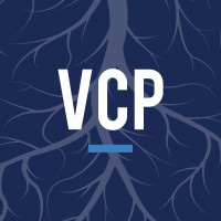 Viewside Capital Partners logo - Similar company to Juniper Equity Llc
