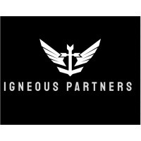Igneous Partners logo - Similar company to Integrated Regional Employability & Skills (Ires)