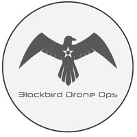 Blackbird Drone Ops logo - Similar company to Spur-Ops
