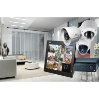 Skylark Security Vision
