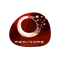 Leading with Purpose & Passion - Redscope Consulting logo - Similar company to Shlokus