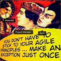 Agile Fiction logo - Similar company to Go Tech Solutions