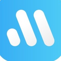 MetaPay logo - Similar company to Virtupay