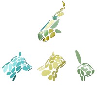 Gifted Equines & Animals logo - Similar company to Connected Horse