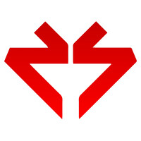 NetSwing Technologies logo - Similar company to Secureark Solutions