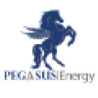 Pegasus Energy LLC logo - Similar company to Pegasus Energy Tech