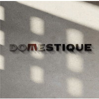 Domestique logo - Similar company to Startuponly