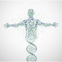Genetic Disease Investigators, LLC logo - Similar company to Pots Care, Pllc