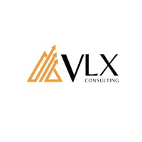 VLX Consulting, LLC logo - Similar company to Magicone Technology