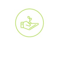 Seed To Sapling It Solution LLP logo - Similar company to Jolly Technologies Inc