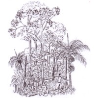 PT. Indo Agroforestry logo - Similar company to Tws & Partners