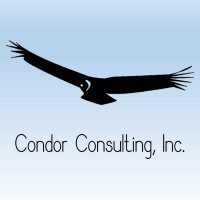 Condor Consulting, Inc. logo - Similar company to Condor Consulting Services