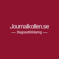 Journalkollen logo - Similar company to Catapultai