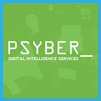 Psyber Technologies logo - Similar company to Skjcorp