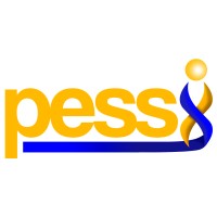 Pacific Executive Search Services, Inc. logo - Similar company to Emstree
