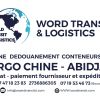 World Transit et Logistics logo - Similar company to Burkindi Transit Import Export