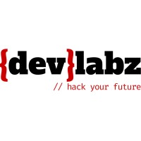 Devlabz Solutions logo - Similar company to Wizlabs.Com