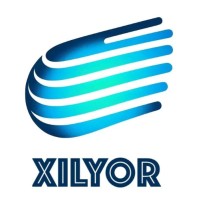 Xilyor logo - Similar company to Geosigmoid Group