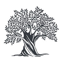 Heritage Olive Trees