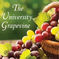 The University Grapevine logo - Similar company to Connect Kids Ela