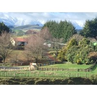 Mangarimu Farm Partnership logo - Similar company to Studio Superfunc