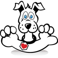 The Dog Walking Network logo - Similar company to Dog Walker & Pet Sitter
