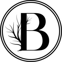 Bloch Advisory Partners GmbH logo - Similar company to Acolin Intelligence