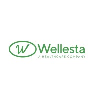 Wellesta-India logo - Similar company to Guvi Surge Llp