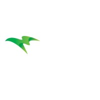 Mindsoft Technologies FZC logo - Similar company to Mite Solutions