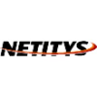 Netitys logo - Similar company to Dealcomp Oy