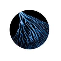 Alluvium Productions logo - Similar company to Veebar Tech