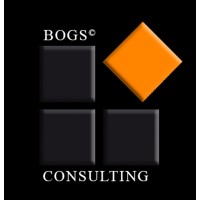 BOGS CONSULTING logo - Similar company to Fridays For Future Europe