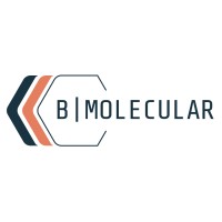 B Molecular logo - Similar company to Anubis Biotech